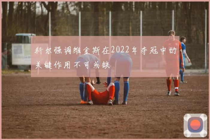 科尔强调维金斯在2022年夺冠中的关键作用不可或缺