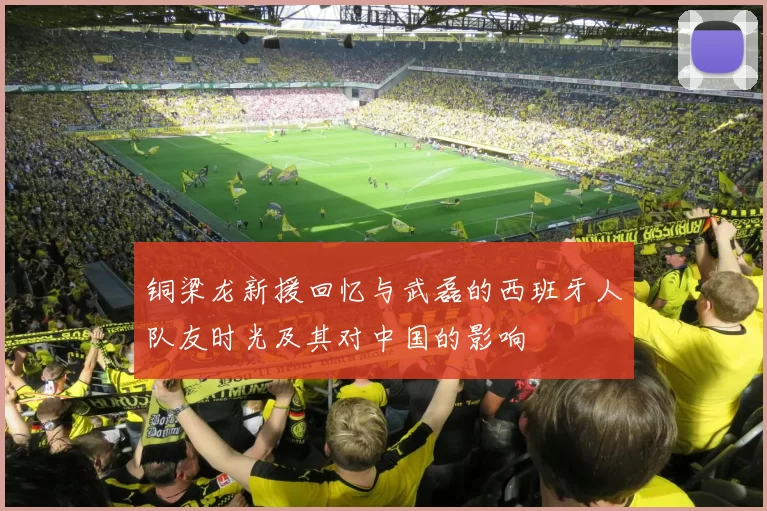 铜梁龙新援回忆与武磊的西班牙人队友时光及其对中国的影响