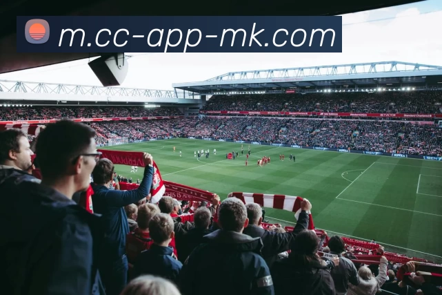 MK体育APP 封面图